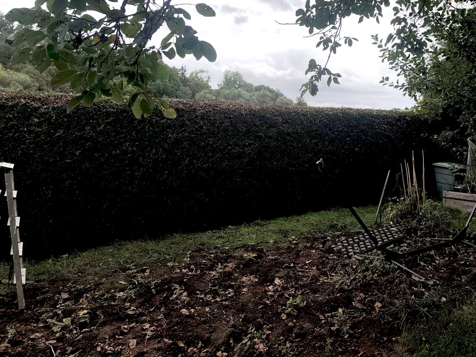 Lange, frisch in Form geschnittene Hecke