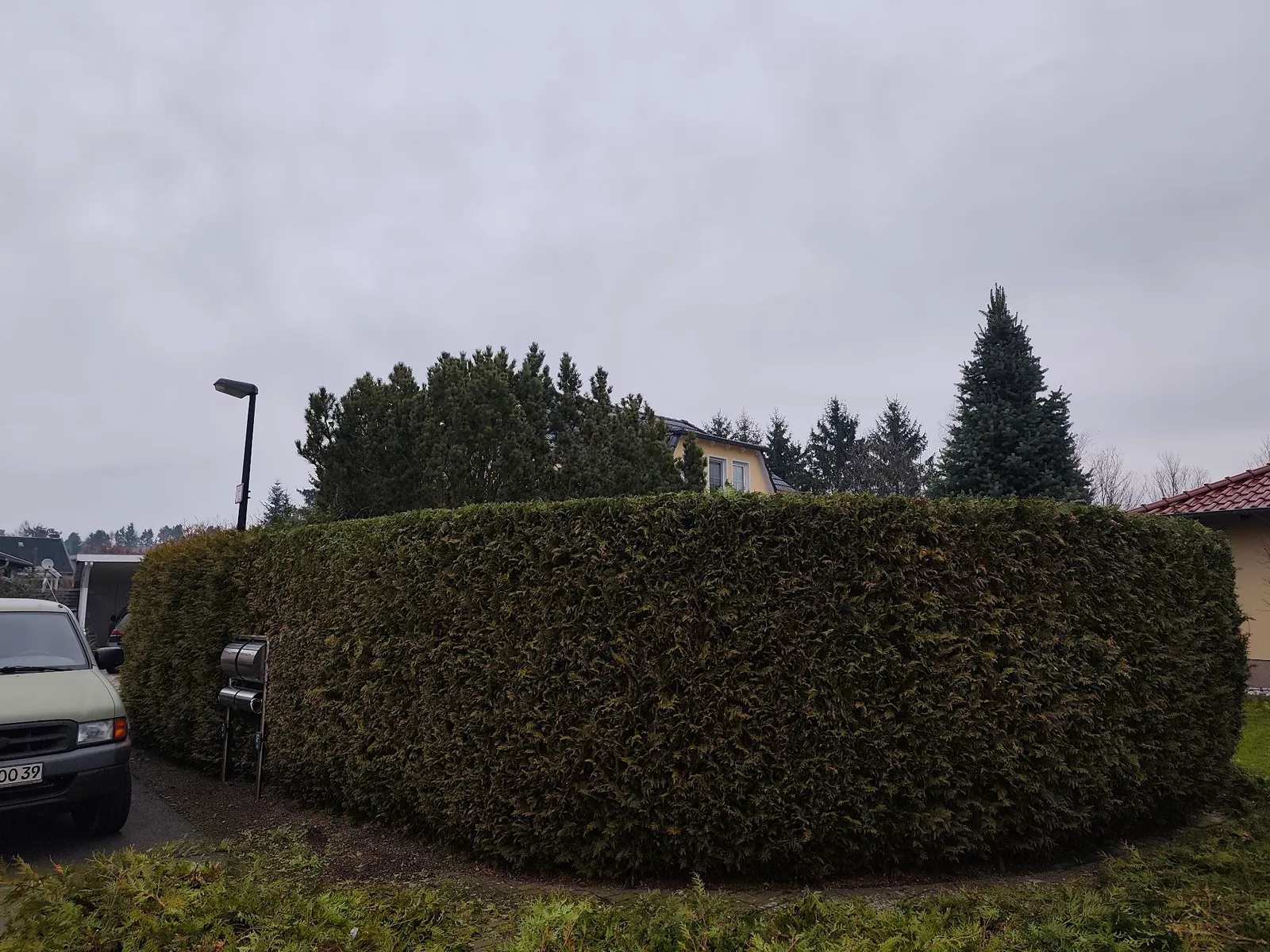 Große, sauber geschnittene Hecke an einer Grundstücksecke